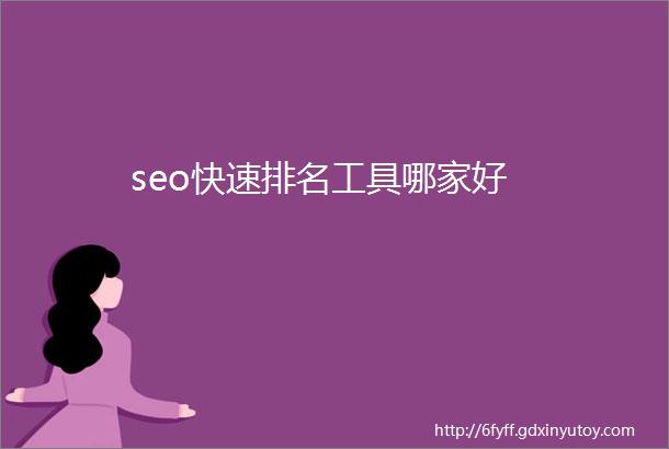 seo快速排名工具哪家好